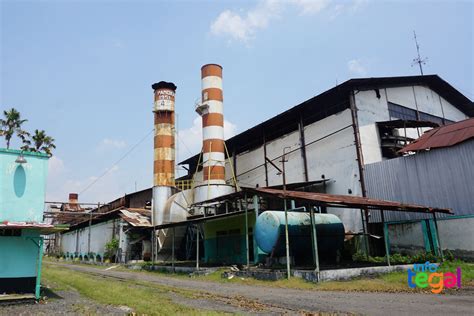 Sejarah Pabrik Gula (Suiker Fabriek) di Tegal | infotegal