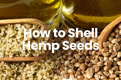 How to Shell Hemp Seeds – The Hemp Blog