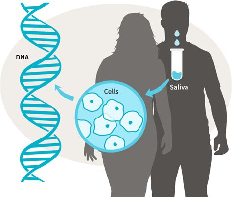 What is Genetic Testing? | AncestryDNA® Learning Hub