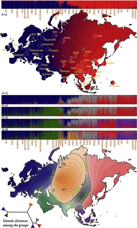 World map of Y-DNA Haplogroups with possible migration routes - Vivid Maps