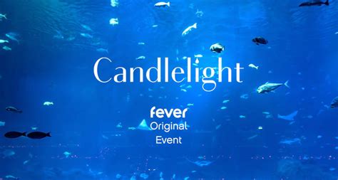 Candlelight: Soul and the Sea at Adventure Aquarium - Philadelphia | Fever