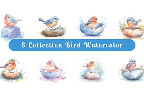 watercolor cute bird collection vol. 5 | Deeezy