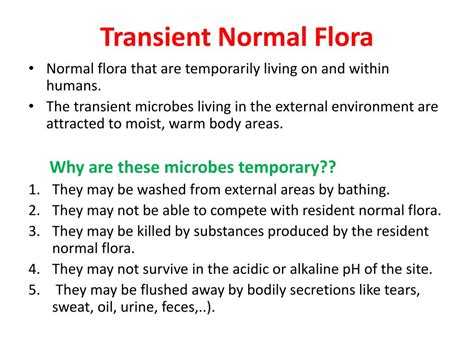 PPT - Normal Flora PowerPoint Presentation, free download - ID:2658903