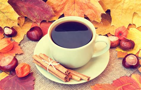 Wallpaper autumn, leaves, coffee, Cup, acorns, autumn, leaves, book ...