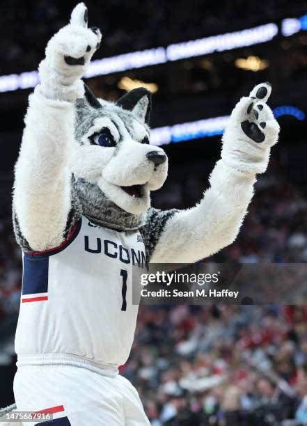 Connecticut Huskies Mascot Photos and Premium High Res Pictures - Getty ...