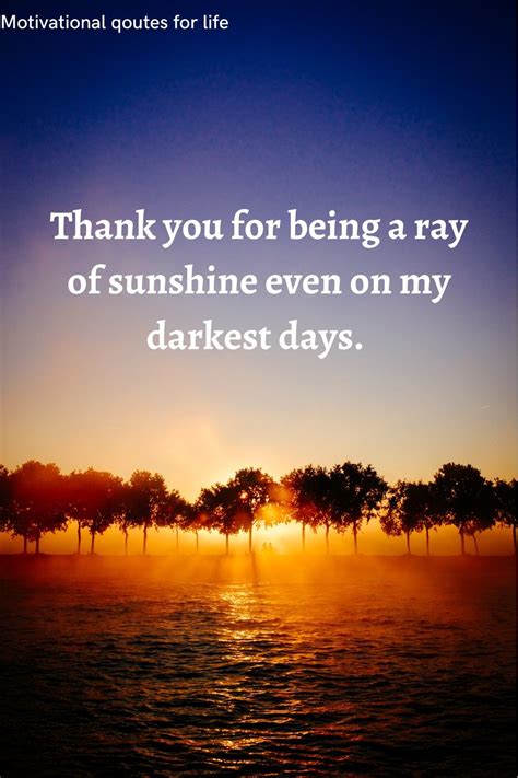 Thank You Quotes: Be a Ray of Sunshine