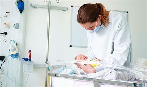 Neonatal Nursing | Studyhub