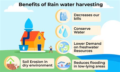 What Is Rainwater Harvesting And Why Is It Important - vrogue.co