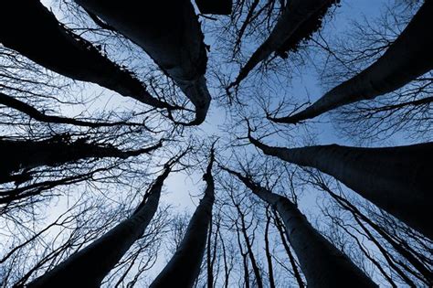 Camera Angles: 5 ways to add impact with unusual perspectives | TechRadar