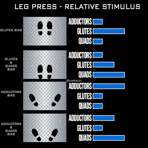 Leg Press Foot Positions - N1 Training