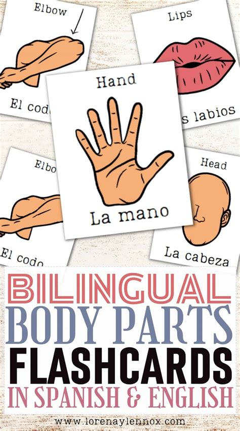 Bilingual Body Parts Flashcards Printable in Spanish and English ...