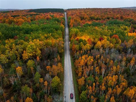 The Ultimate Guide to Northern Michigan’s Scenic Tunnel of Trees | Harbor springs michigan ...