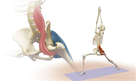 Awaken Your Psoas