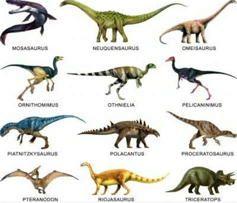 Different Types Of Dinosaurs Names