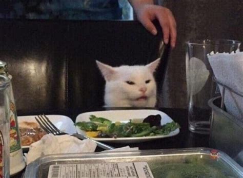 Create meme "meme of the year cat at the table, cat at the table, cat ...