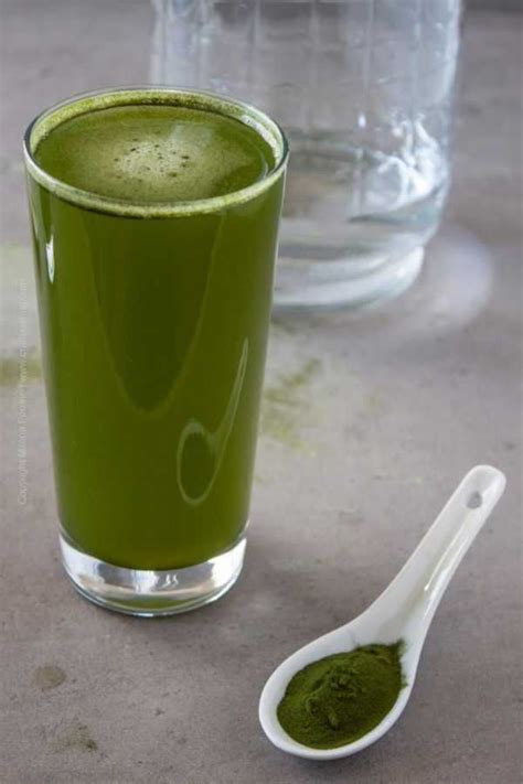 Barley Grass Juice Powder Health Benefits (There are Many) | Barley grass, Barley benefits, Barley