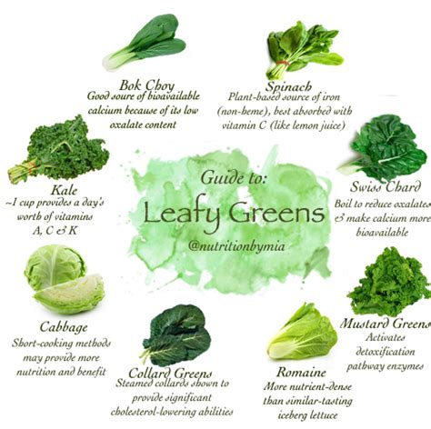 Guide to: Leafy Greens - Nutrition By Mia