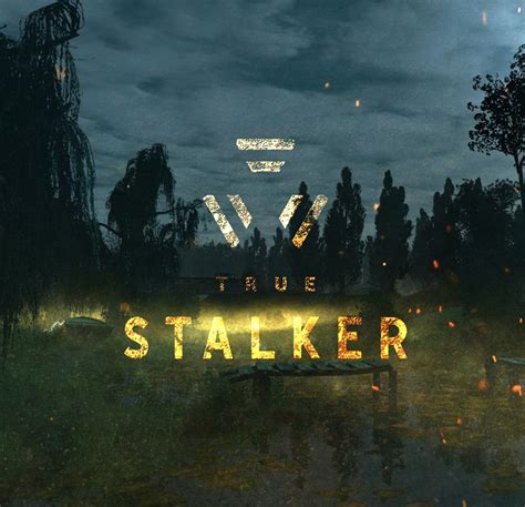 True Stalker mod for S.T.A.L.K.E.R.: Call of Pripyat - Mod DB