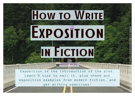 What is Exposition in Plot [& 5 Tips to Nail It] - Herded Words