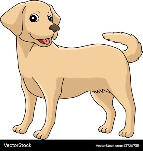 Labrador retriever dog cartoon colored clipart Vector Image