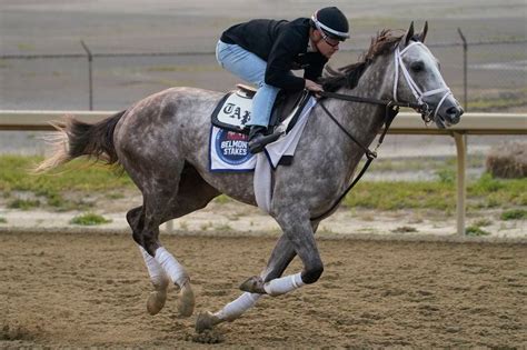 Belmont Stakes odds & early predictions for the 2023 race: Sat., 6/10 ...