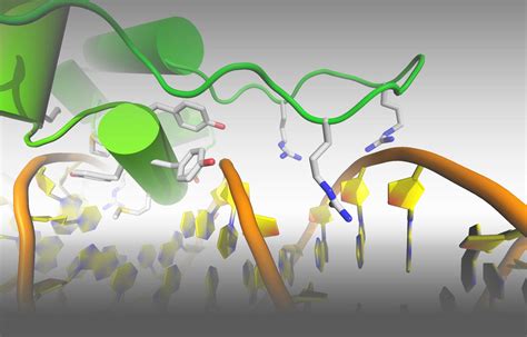 Structural Biology - Norwich Research Park