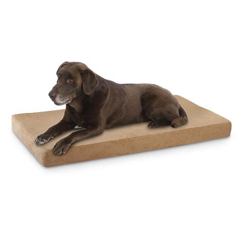 DogPedic™ Orthopedic Pet Bed - 212653, Kennels & Beds at Sportsman's Guide