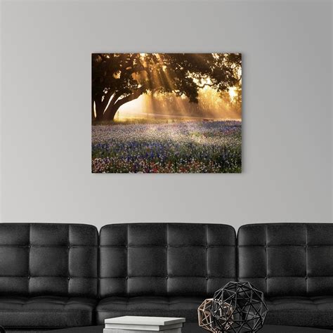 Morning Meadow Sunrise in 2021 | Canvas prints, Classic art, Framed prints