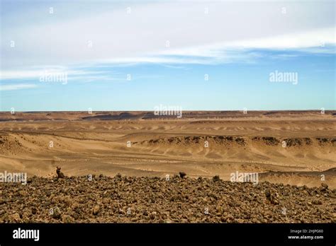 View of the Eye of the Sahara, also known as Richat Structure Stock ...