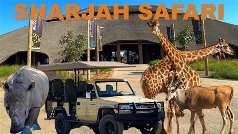 SHARJAH SAFARI | Sharjah Safari Park Location | World’s largest Safari outside Africa | - YouTube