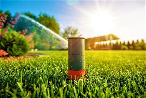 The Best 4 Smart Sprinkler Controllers for Your Lawn and Garden