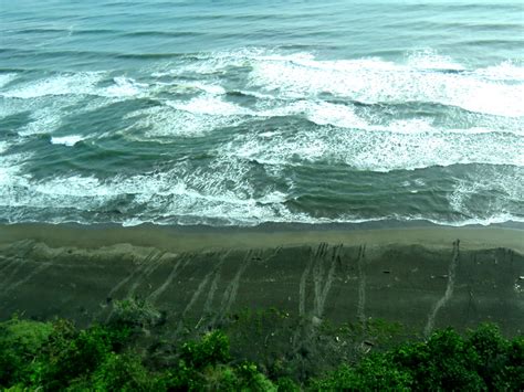 Tortuguero Costa Rica – Sea Turtles