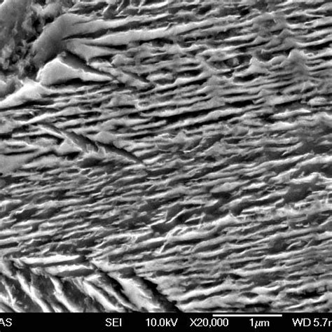 Bainite formation kinetics for 100Si6-Co alloy at 493, 523 and 573 K ...