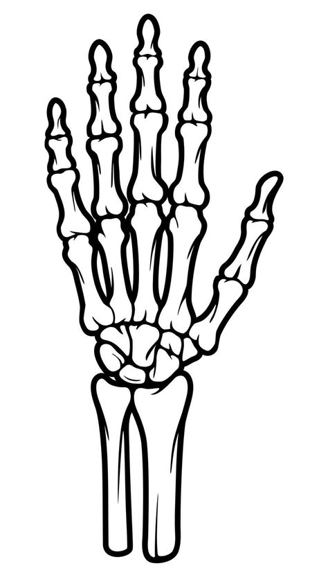 Skeleton bone hand illustrations 26418494 Vector Art at Vecteezy