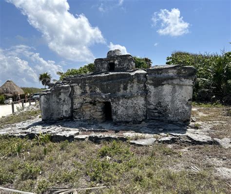 Eco-Friendly Guide to Cozumel: Best Hotels, Tours and Vegan Restaurants ...