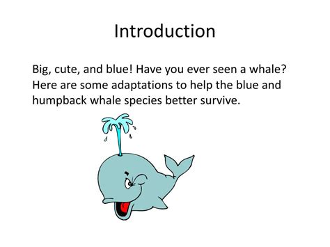 PPT - Whales and their Adaptations PowerPoint Presentation, free ...