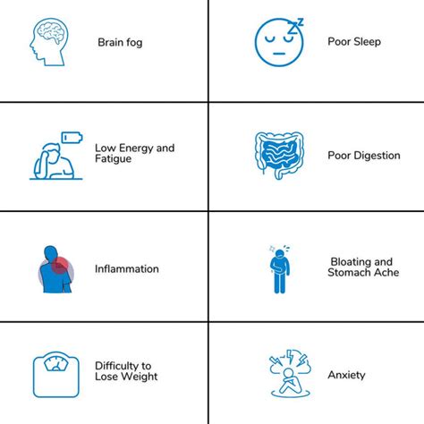 Gut Microbiome Testing | Gut Health Test Online| Decode Age