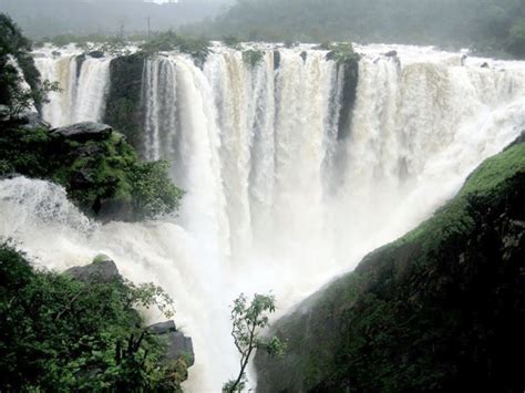 The Mighty Jog Falls, Karnataka: Nature's Guide to Serenity!