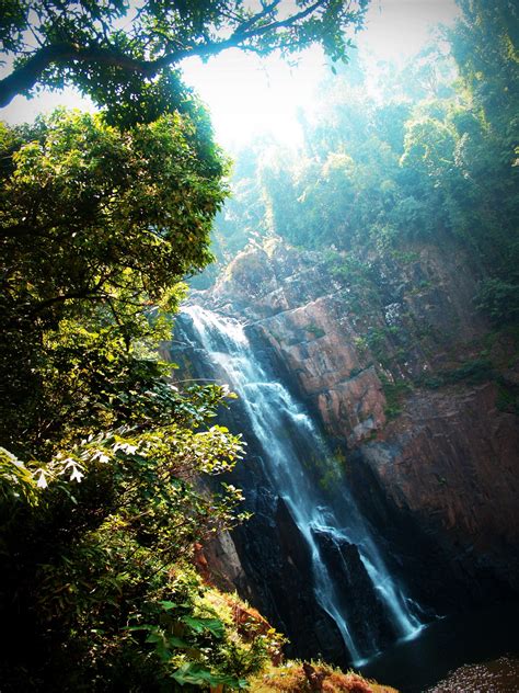 Water Fall Of Khao Yai National Park Free Stock Photo - Public Domain ...