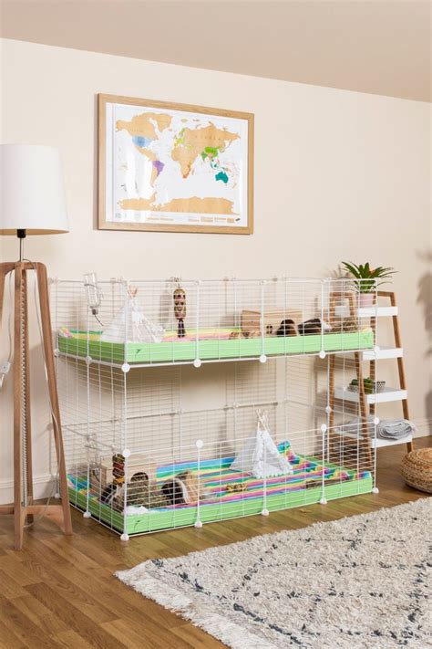 C&C Cages for Guinea Pigs