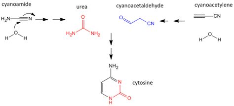 A4. Abiotic Synthesis of Nucleobases - Biology LibreTexts