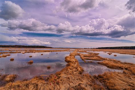 Scarborough, Maine | Marsh + Beaches | Visit Portland