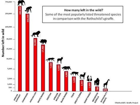 endangered species graphs - Google Search Importance Of Wildlife Conservation, Dj Pro, Safari ...