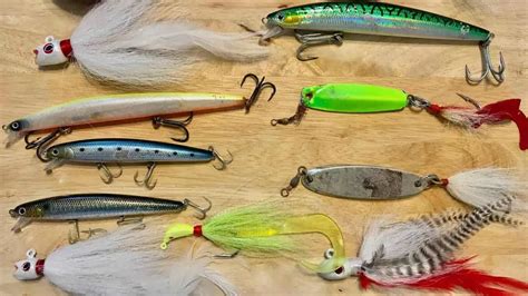 Baits & Lures To Use To Catch Striped Bass