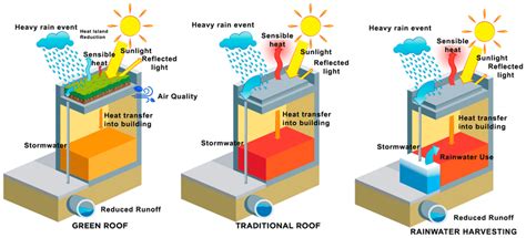 Benefits from green roof and rainwater harvesting system. Adapted from... | Download Scientific ...