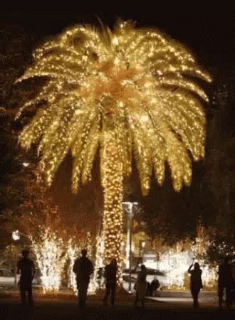 Coconut Tree GIF - Coconut Tree - Discover & Share GIFs | Palm tree christmas lights, Christmas ...