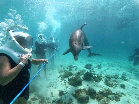 There is nothing like Coral World Ocean Park in St. Thomas, U.S. Virgin ...