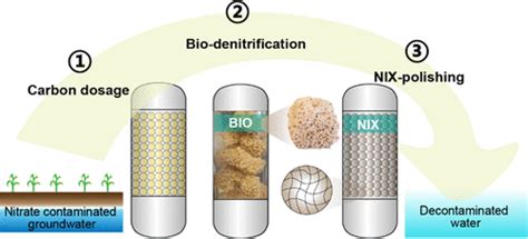 Resilient Nitrate Removal by a Biological Nitrate-Selective Ion Exchange (BIO-NIX) Process | ACS ...