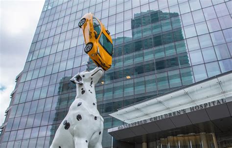 NYU Langone Opens New Hassenfeld Children’s Hospital-34th Street in New ...