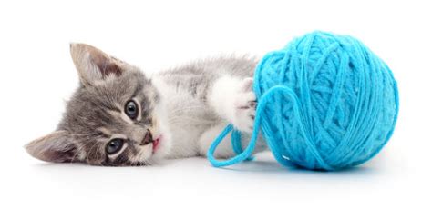 Best Yarn Ball Stock Photos, Pictures & Royalty-Free Images - iStock